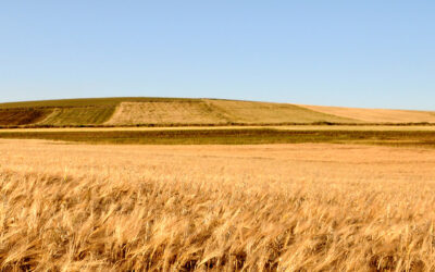 Semole e processo produttivo