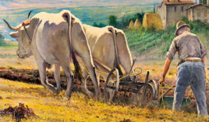 20250827 Cabudanni