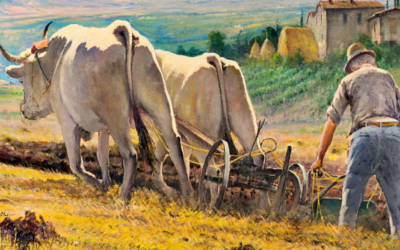 Cabudanni: inizia l’anno agricolo in Sardegna!